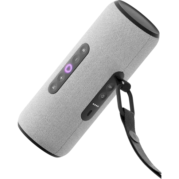 Умная колонка Яндекс Станция Стрит, серая (YNDX-00030GRY)